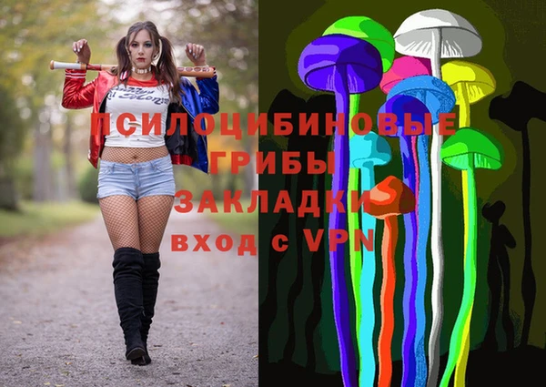 амф Бронницы