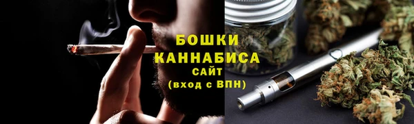 амф Бронницы