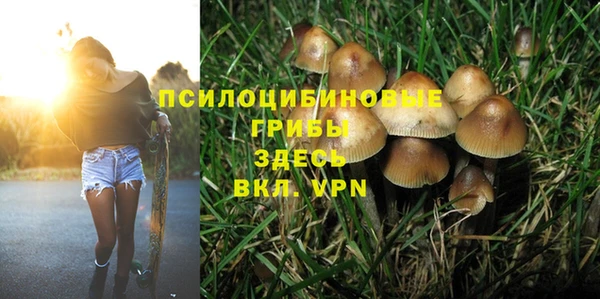 амф Бронницы