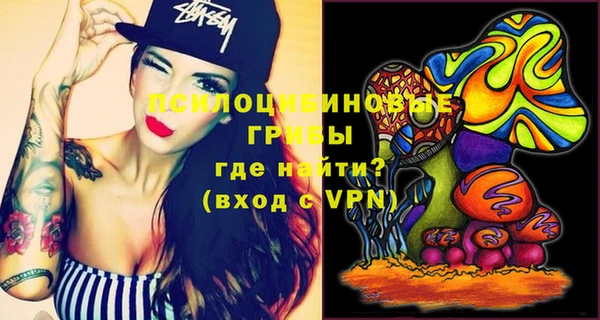 амф Бронницы