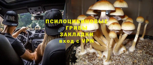 MDMA Premium VHQ Бородино