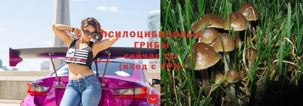 амф Бронницы