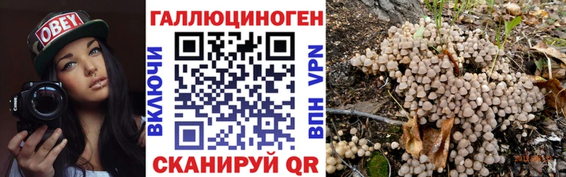 Галлюциногенные грибы Psilocybine cubensis  mega   Тюмень 